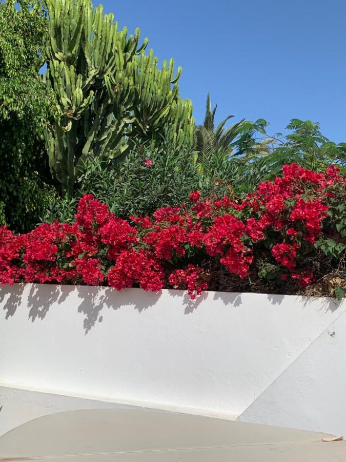 Lovely Villa Nico Playa Blanca, Hot Tub, Communal Pool エクステリア 写真